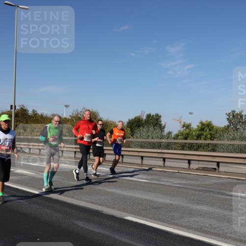 03.10.2025 - Köhlbrandbrückenlauf Julia Fischer http://msf.ph/oto/9013995 03.10.2025 13:08:04 Position 3  meine-sportfotos.de
