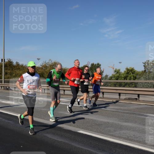 03.10.2025 - Köhlbrandbrückenlauf Julia Fischer http://msf.ph/oto/9014001 03.10.2025 13:08:05 Position 3  meine-sportfotos.de