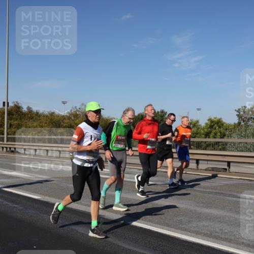 03.10.2025 - Köhlbrandbrückenlauf Julia Fischer http://msf.ph/oto/9014004 03.10.2025 13:08:05 Position 3  meine-sportfotos.de