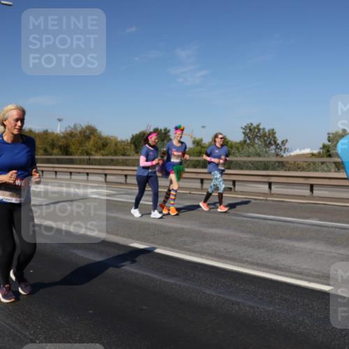03.10.2025 - Köhlbrandbrückenlauf Julia Fischer http://msf.ph/oto/9014046 03.10.2025 13:08:13 Position 3 4950 meine-sportfotos.de