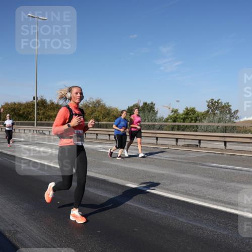 03.10.2025 - Köhlbrandbrückenlauf Julia Fischer http://msf.ph/oto/9014098 03.10.2025 13:08:31 Position 3 5394 meine-sportfotos.de