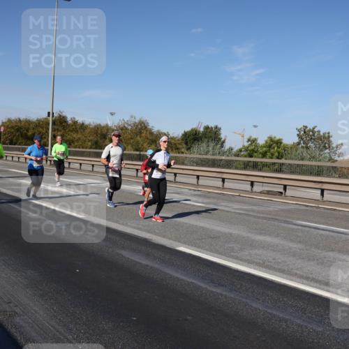 03.10.2025 - Köhlbrandbrückenlauf Julia Fischer http://msf.ph/oto/9014102 03.10.2025 13:08:34 Position 3  meine-sportfotos.de