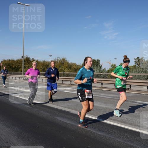 03.10.2025 - Köhlbrandbrückenlauf Julia Fischer http://msf.ph/oto/9014141 03.10.2025 13:08:39 Position 3 18 meine-sportfotos.de