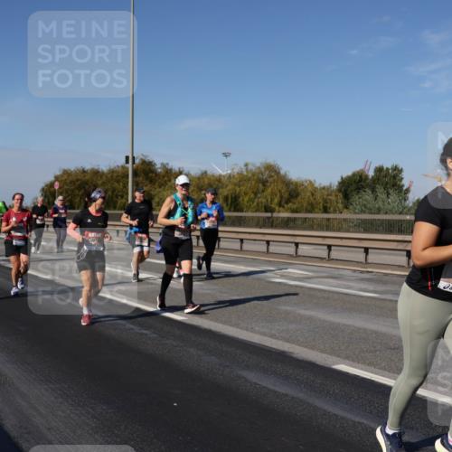 03.10.2025 - Köhlbrandbrückenlauf Julia Fischer http://msf.ph/oto/9014260 03.10.2025 13:09:02 Position 3 5476 meine-sportfotos.de