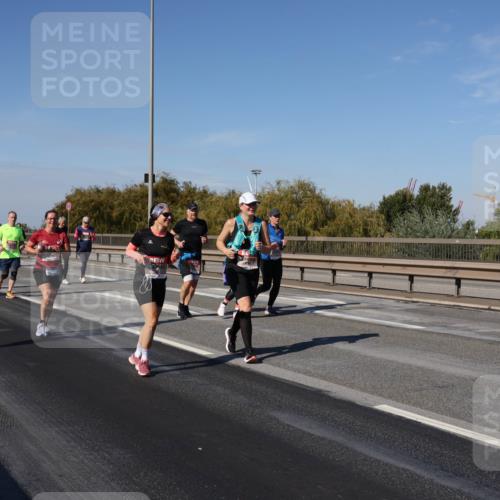 03.10.2025 - Köhlbrandbrückenlauf Julia Fischer http://msf.ph/oto/9014263 03.10.2025 13:09:03 Position 3  meine-sportfotos.de