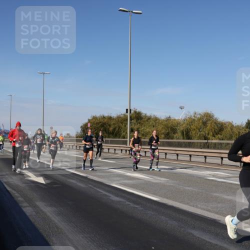 03.10.2025 - Köhlbrandbrückenlauf Julia Fischer http://msf.ph/oto/9014284 03.10.2025 13:09:09 Position 3 5730 meine-sportfotos.de