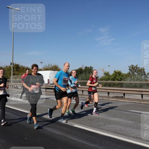 03.10.2025 - Köhlbrandbrückenlauf Julia Fischer http://msf.ph/oto/9014372 03.10.2025 13:09:31 Position 3  meine-sportfotos.de