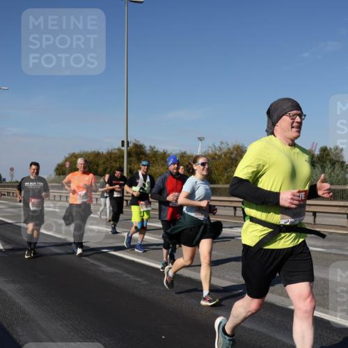 03.10.2025 - Köhlbrandbrückenlauf Julia Fischer http://msf.ph/oto/9014442 03.10.2025 13:09:46 Position 3 5010 meine-sportfotos.de