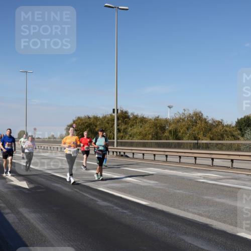 03.10.2025 - Köhlbrandbrückenlauf Julia Fischer http://msf.ph/oto/9014501 03.10.2025 13:09:56 Position 3  meine-sportfotos.de