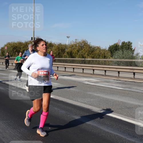 03.10.2025 - Köhlbrandbrückenlauf Julia Fischer http://msf.ph/oto/9014586 03.10.2025 13:10:18 Position 3 5171 meine-sportfotos.de