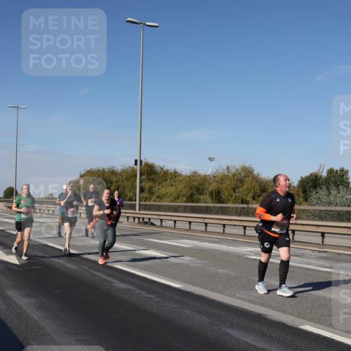 03.10.2025 - Köhlbrandbrückenlauf Julia Fischer http://msf.ph/oto/9014674 03.10.2025 13:10:37 Position 3  meine-sportfotos.de