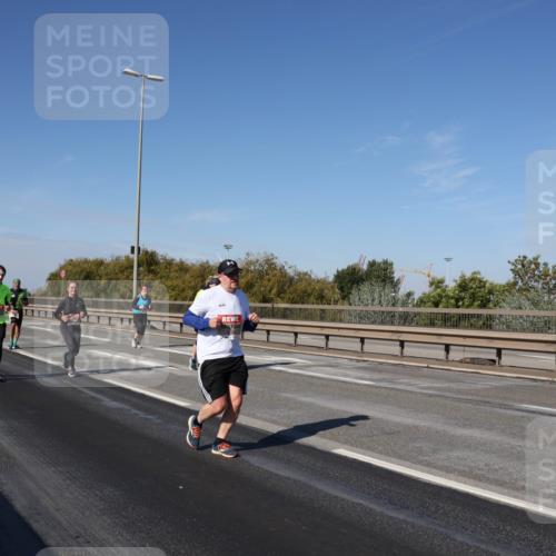 03.10.2025 - Köhlbrandbrückenlauf Julia Fischer http://msf.ph/oto/9014737 03.10.2025 13:10:44 Position 3  meine-sportfotos.de