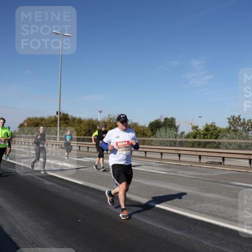 03.10.2025 - Köhlbrandbrückenlauf Julia Fischer http://msf.ph/oto/9014740 03.10.2025 13:10:45 Position 3  meine-sportfotos.de
