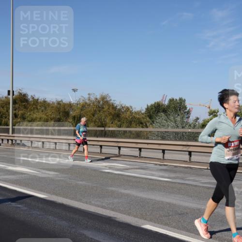 03.10.2025 - Köhlbrandbrückenlauf Julia Fischer http://msf.ph/oto/9014852 03.10.2025 13:11:11 Position 3  meine-sportfotos.de