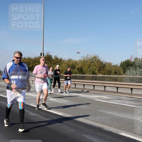 03.10.2025 - Köhlbrandbrückenlauf Julia Fischer http://msf.ph/oto/9014867 03.10.2025 13:11:15 Position 3 602 meine-sportfotos.de