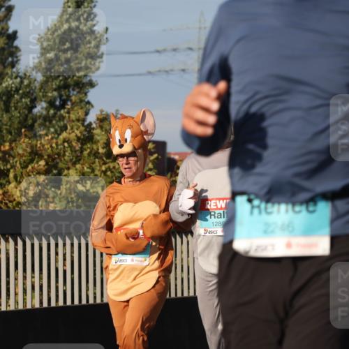 03.10.2025 - Köhlbrandbrückenlauf Luisa Fischer http://msf.ph/oto/9014892 03.10.2025 10:59:29 Position 3 1289, 2246, 2837 meine-sportfotos.de