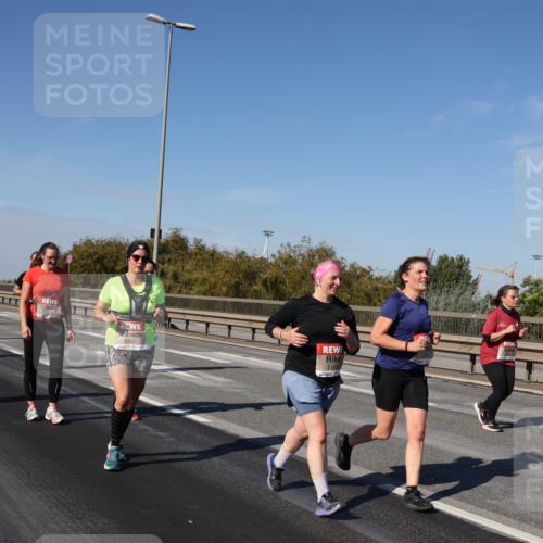 03.10.2025 - Köhlbrandbrückenlauf Julia Fischer http://msf.ph/oto/9014957 03.10.2025 13:11:32 Position 3 4443, 5310 meine-sportfotos.de