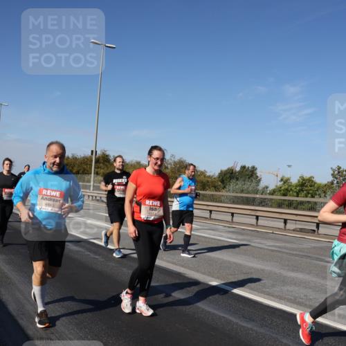 03.10.2025 - Köhlbrandbrückenlauf Julia Fischer http://msf.ph/oto/9014968 03.10.2025 13:11:34 Position 3 4443, 6513, 617 meine-sportfotos.de