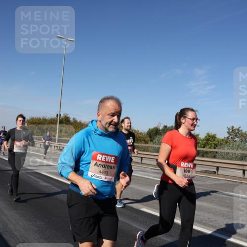 03.10.2025 - Köhlbrandbrückenlauf Julia Fischer http://msf.ph/oto/9014975 03.10.2025 13:11:35 Position 3 4443, 6513 meine-sportfotos.de