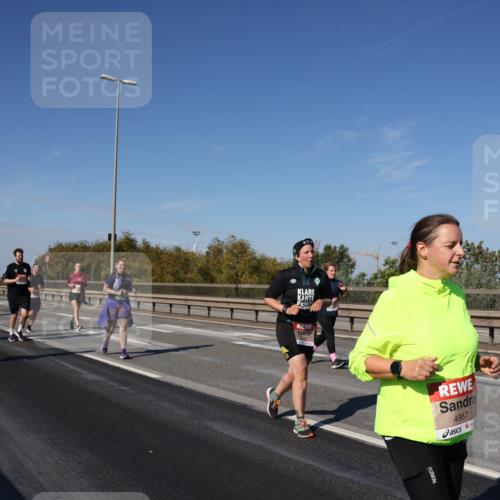 03.10.2025 - Köhlbrandbrückenlauf Julia Fischer http://msf.ph/oto/9014986 03.10.2025 13:11:39 Position 3 4967 meine-sportfotos.de