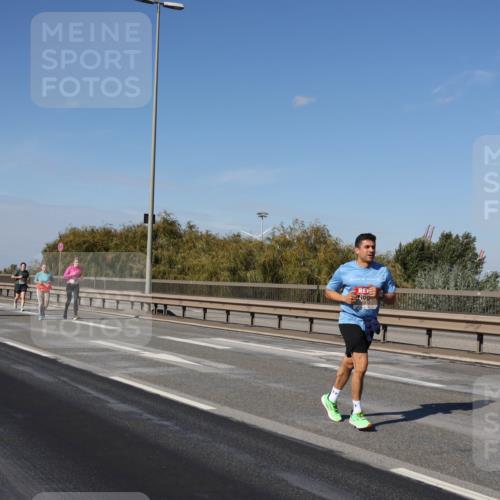 03.10.2025 - Köhlbrandbrückenlauf Julia Fischer http://msf.ph/oto/9015052 03.10.2025 13:11:55 Position 3  meine-sportfotos.de