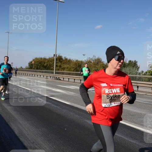 03.10.2025 - Köhlbrandbrückenlauf Julia Fischer http://msf.ph/oto/9015139 03.10.2025 13:12:20 Position 3 4800 meine-sportfotos.de