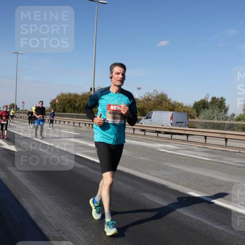 03.10.2025 - Köhlbrandbrückenlauf Julia Fischer http://msf.ph/oto/9015151 03.10.2025 13:12:22 Position 3 4582 meine-sportfotos.de