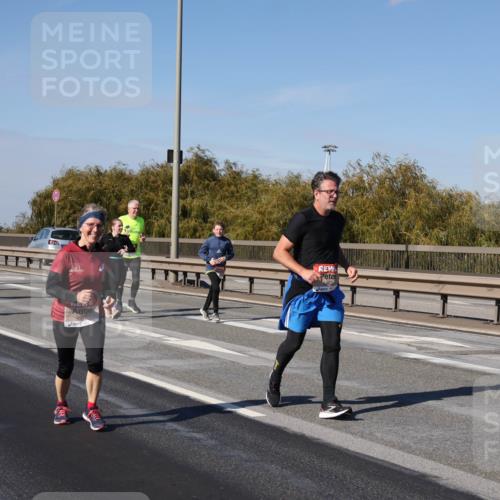 03.10.2025 - Köhlbrandbrückenlauf Julia Fischer http://msf.ph/oto/9015160 03.10.2025 13:12:26 Position 3 80 meine-sportfotos.de
