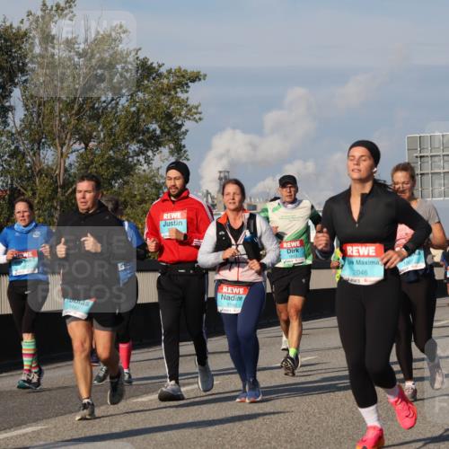 03.10.2025 - Köhlbrandbrückenlauf Luisa Fischer http://msf.ph/oto/9015164 03.10.2025 10:59:57 Position 3 80, 1565, 1492, 1813, 2046, 3144, 3788 meine-sportfotos.de