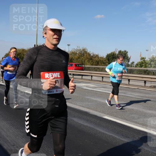 03.10.2025 - Köhlbrandbrückenlauf Julia Fischer http://msf.ph/oto/9015496 03.10.2025 13:13:41 Position 3  meine-sportfotos.de
