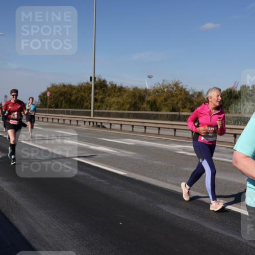 03.10.2025 - Köhlbrandbrückenlauf Julia Fischer http://msf.ph/oto/9015592 03.10.2025 13:13:58 Position 3  meine-sportfotos.de