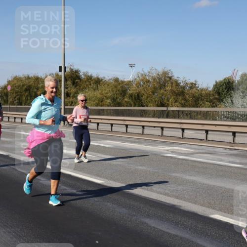 03.10.2025 - Köhlbrandbrückenlauf Julia Fischer http://msf.ph/oto/9015636 03.10.2025 13:14:03 Position 3  meine-sportfotos.de