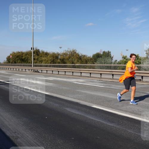 03.10.2025 - Köhlbrandbrückenlauf Julia Fischer http://msf.ph/oto/9015665 03.10.2025 13:14:16 Position 3  meine-sportfotos.de