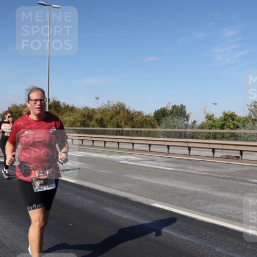 03.10.2025 - Köhlbrandbrückenlauf Julia Fischer http://msf.ph/oto/9015685 03.10.2025 13:14:25 Position 3 86 meine-sportfotos.de
