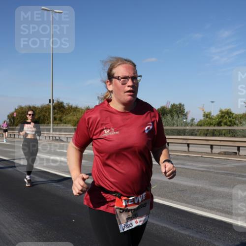 03.10.2025 - Köhlbrandbrückenlauf Julia Fischer http://msf.ph/oto/9015687 03.10.2025 13:14:26 Position 3 6486 meine-sportfotos.de