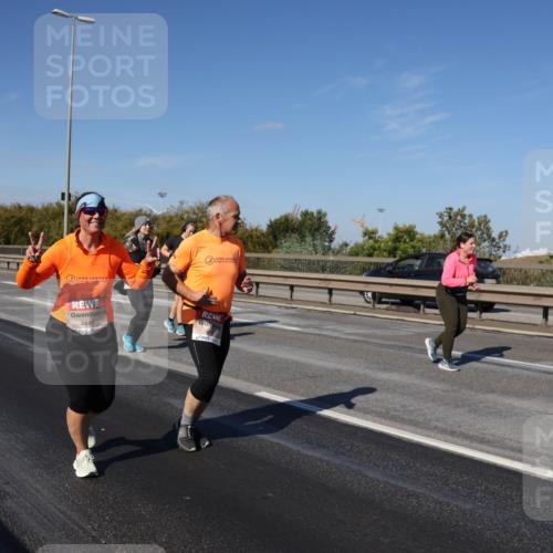 03.10.2025 - Köhlbrandbrückenlauf Julia Fischer http://msf.ph/oto/9015730 03.10.2025 13:14:40 Position 3 4440 meine-sportfotos.de