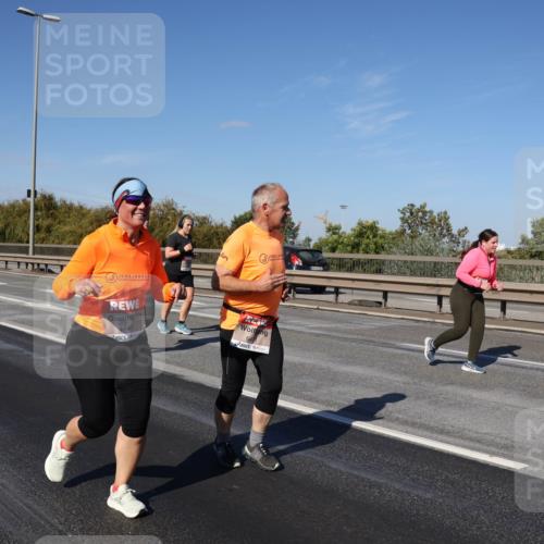 03.10.2025 - Köhlbrandbrückenlauf Julia Fischer http://msf.ph/oto/9015736 03.10.2025 13:14:41 Position 3 4440 meine-sportfotos.de