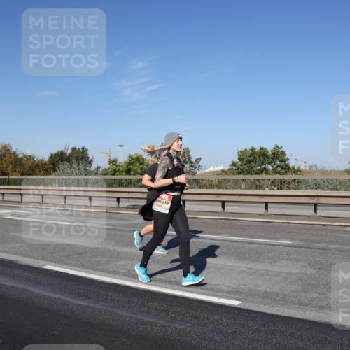 03.10.2025 - Köhlbrandbrückenlauf Julia Fischer http://msf.ph/oto/9015744 03.10.2025 13:14:42 Position 3 4006 meine-sportfotos.de