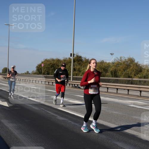 03.10.2025 - Köhlbrandbrückenlauf Julia Fischer http://msf.ph/oto/9015904 03.10.2025 13:15:29 Position 3 5390 meine-sportfotos.de