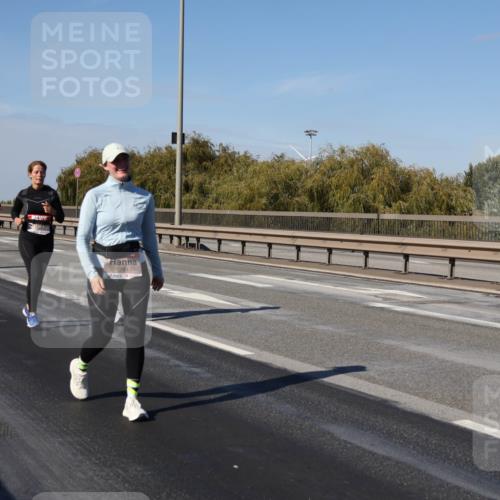 03.10.2025 - Köhlbrandbrückenlauf Julia Fischer http://msf.ph/oto/9015925 03.10.2025 13:15:38 Position 3 5741 meine-sportfotos.de