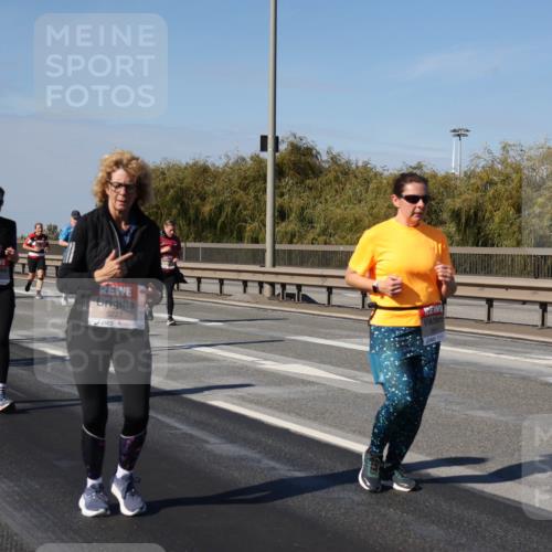 03.10.2025 - Köhlbrandbrückenlauf Julia Fischer http://msf.ph/oto/9015945 03.10.2025 13:15:44 Position 3 5227 meine-sportfotos.de