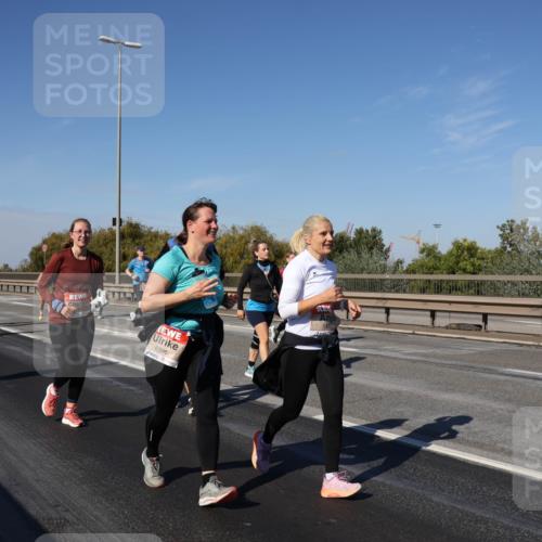 03.10.2025 - Köhlbrandbrückenlauf Julia Fischer http://msf.ph/oto/9015971 03.10.2025 13:15:49 Position 3 6396 meine-sportfotos.de