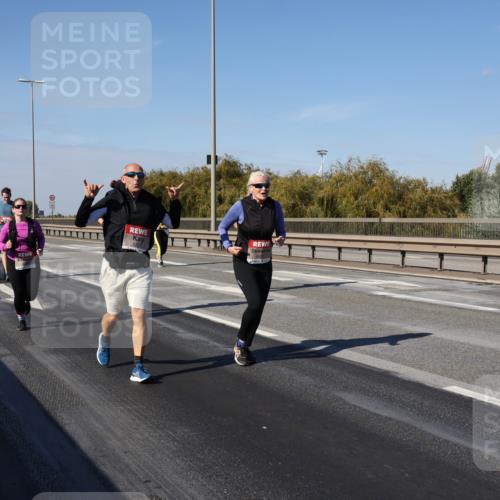 03.10.2025 - Köhlbrandbrückenlauf Julia Fischer http://msf.ph/oto/9016133 03.10.2025 13:16:44 Position 3  meine-sportfotos.de