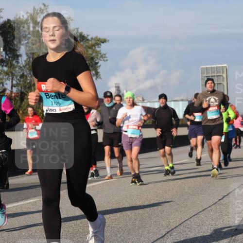03.10.2025 - Köhlbrandbrückenlauf Luisa Fischer http://msf.ph/oto/9016258 03.10.2025 11:01:46 Position 3 2789, 3125 meine-sportfotos.de
