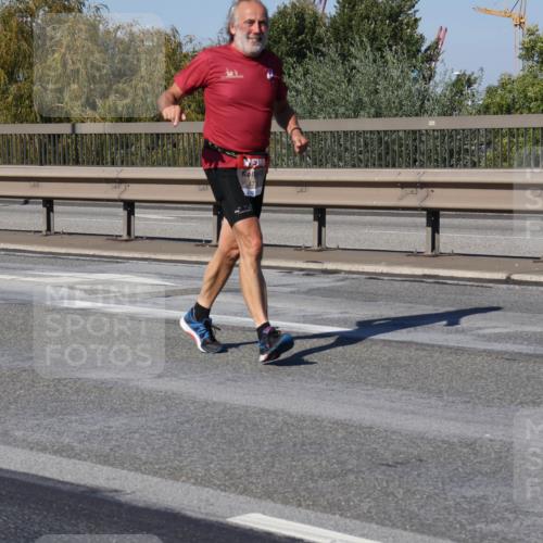03.10.2025 - Köhlbrandbrückenlauf Julia Fischer http://msf.ph/oto/9016280 03.10.2025 13:17:28 Position 3 17, 381 meine-sportfotos.de