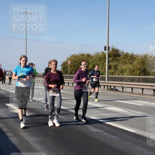 03.10.2025 - Köhlbrandbrückenlauf Julia Fischer http://msf.ph/oto/9016333 03.10.2025 13:17:50 Position 3 5584, 6401 meine-sportfotos.de