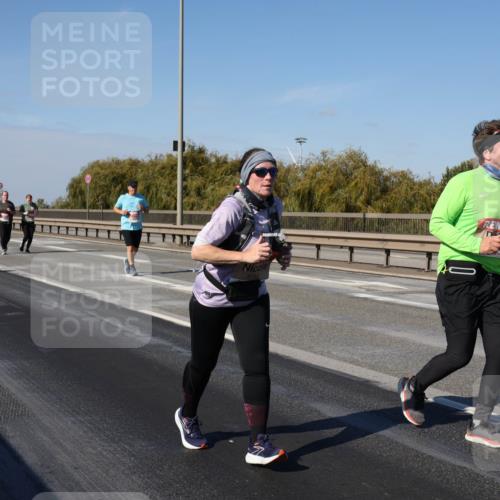 03.10.2025 - Köhlbrandbrückenlauf Julia Fischer http://msf.ph/oto/9016374 03.10.2025 13:17:57 Position 3  meine-sportfotos.de