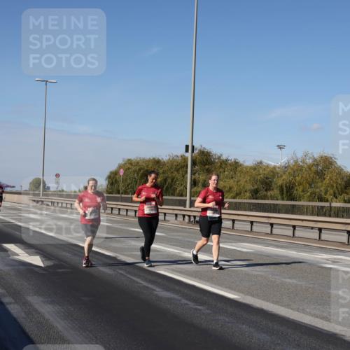03.10.2025 - Köhlbrandbrückenlauf Julia Fischer http://msf.ph/oto/9016487 03.10.2025 13:18:38 Position 3  meine-sportfotos.de