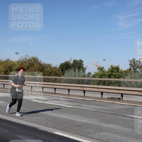 03.10.2025 - Köhlbrandbrückenlauf Julia Fischer http://msf.ph/oto/9016509 03.10.2025 13:18:43 Position 3  meine-sportfotos.de