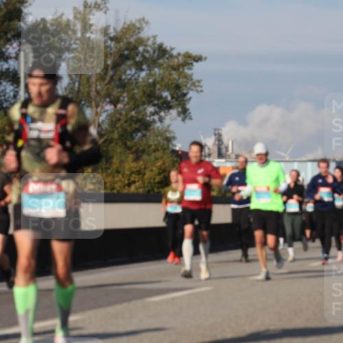 03.10.2025 - Köhlbrandbrückenlauf Luisa Fischer http://msf.ph/oto/9016599 03.10.2025 11:02:21 Position 3  meine-sportfotos.de